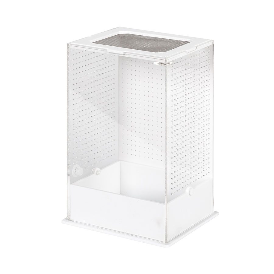 Insect Acrylic Box — Reptiles By Post