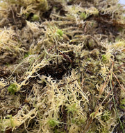 Sphagnum Moss BULK Sack - Reptiles By Post