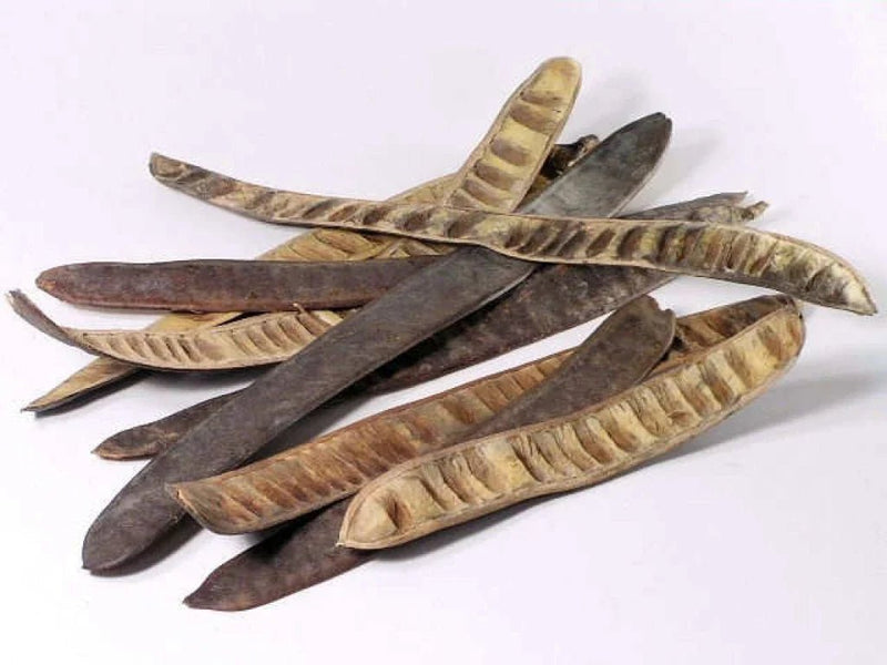 Step Fruit 30 - 40cm - Reptiles By Post