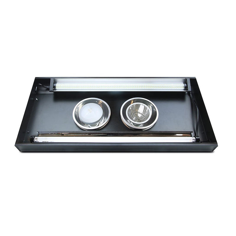 ThermalZooPro, Jungle Dawn - Reptiles By Post