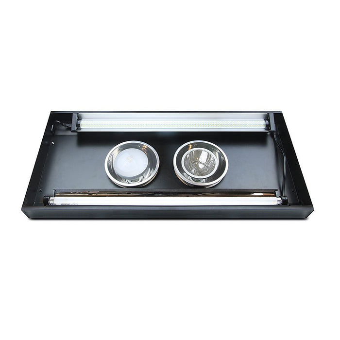 ThermalZooPro, Jungle Dawn - Reptiles By Post