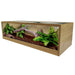 VivExotic Repti - View Home Medium Oak - Reptiles By Post