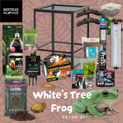 White's Tree Frog Set Up Kit - With Glass Terrarium - Reptiles By Post