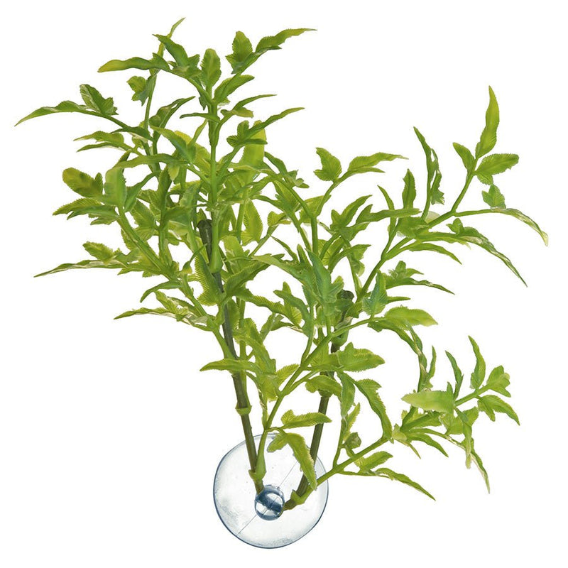 Zoo Med Australian Maple - Reptiles By Post