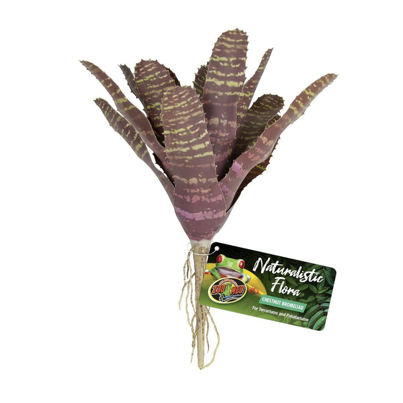 Zoo Med Chestnut Bromeliad - Reptiles By Post