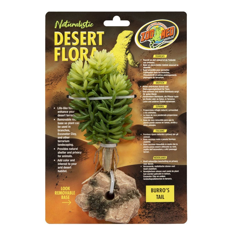 Zoo Med Desert Flora, Burro's Tail - Reptiles By Post