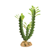 Zoo Med Desert Flora, Euphorbia - Reptiles By Post