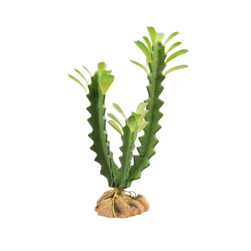 Zoo Med Desert Flora, Euphorbia - Reptiles By Post