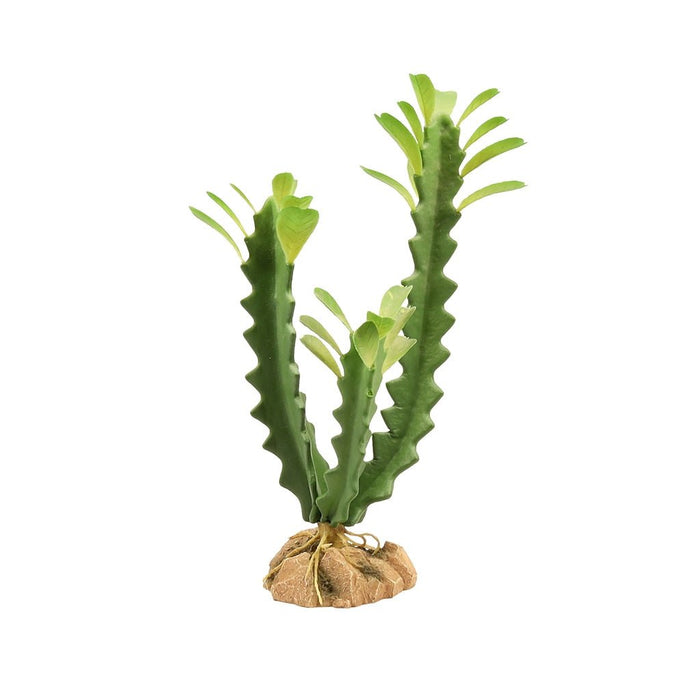 Zoo Med Desert Flora, Euphorbia - Reptiles By Post