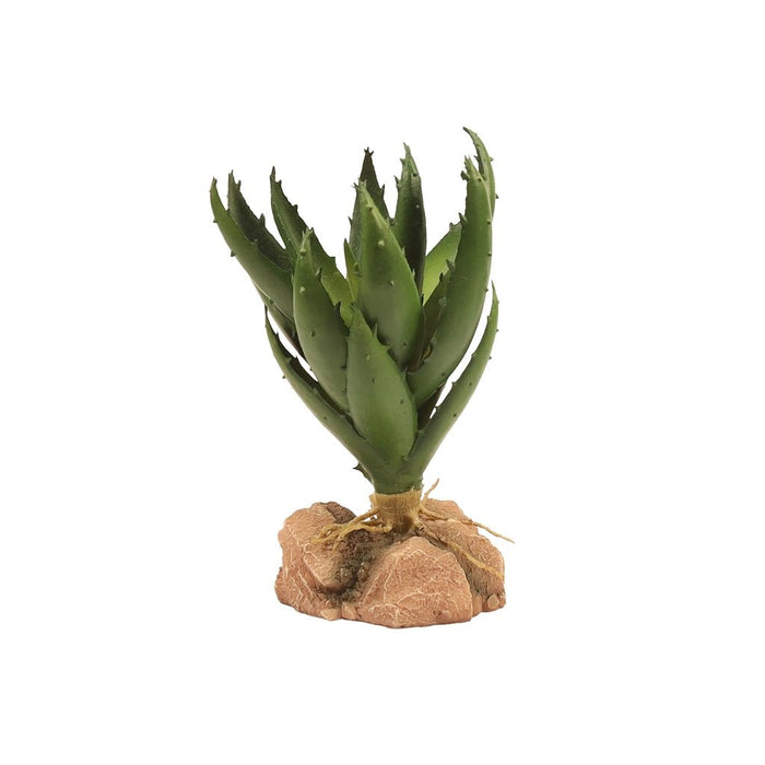 Zoo Med Desert Flora, Green Aloe - Reptiles By Post