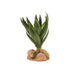 Zoo Med Desert Flora, Green Aloe - Reptiles By Post
