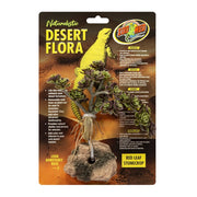 Zoo Med Desert Flora, Red Leaf Stonecrop - Reptiles By Post
