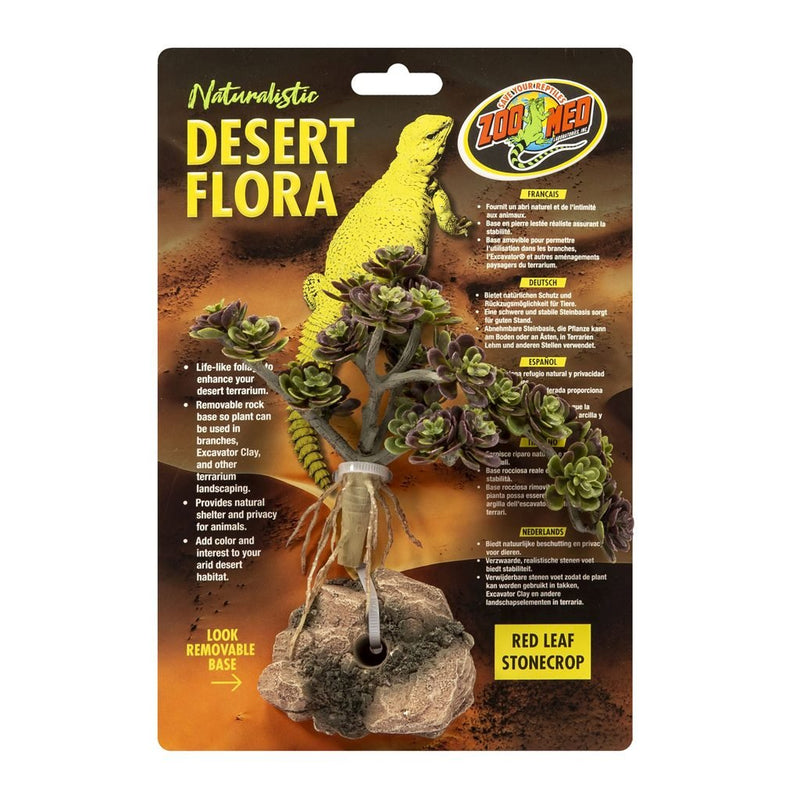 Zoo Med Desert Flora, Red Leaf Stonecrop - Reptiles By Post