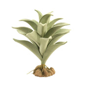 Zoo Med Desert Flora, Silver Mullien - Reptiles By Post