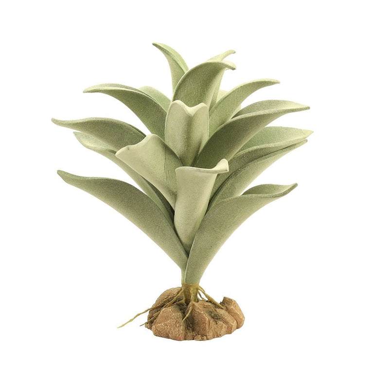 Zoo Med Desert Flora, Silver Mullien - Reptiles By Post