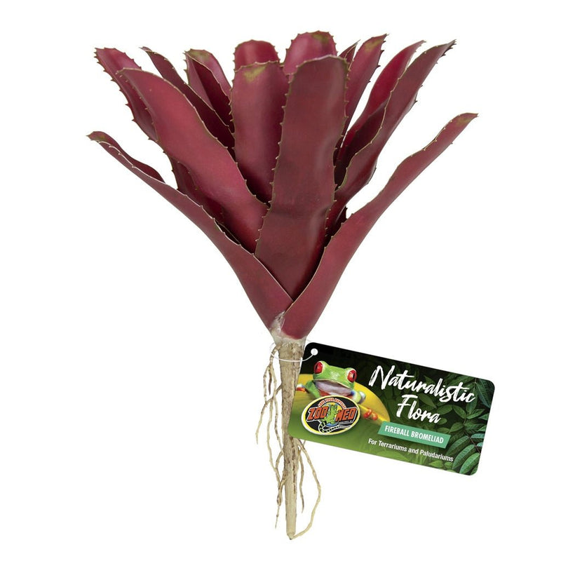 Zoo Med Fireball Bromeliad - Reptiles By Post