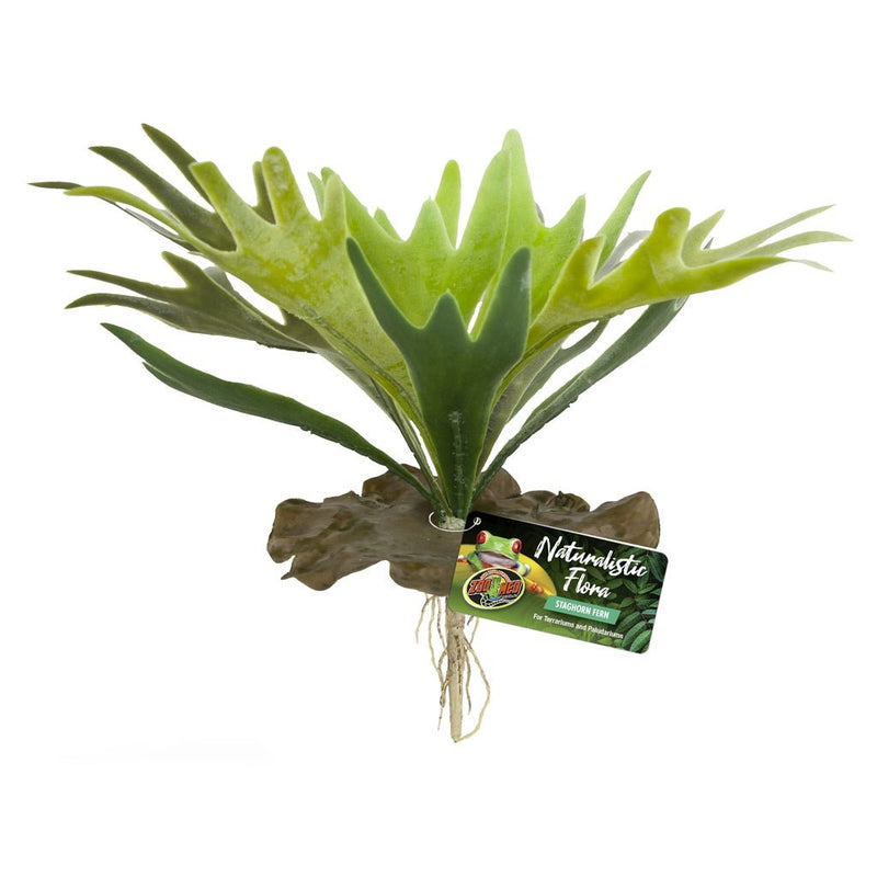 Zoo Med Staghorn Fern - Reptiles By Post