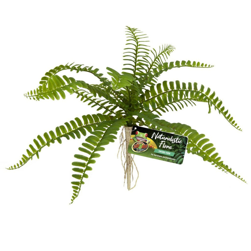 Zoo Med Sword Fern - Reptiles By Post