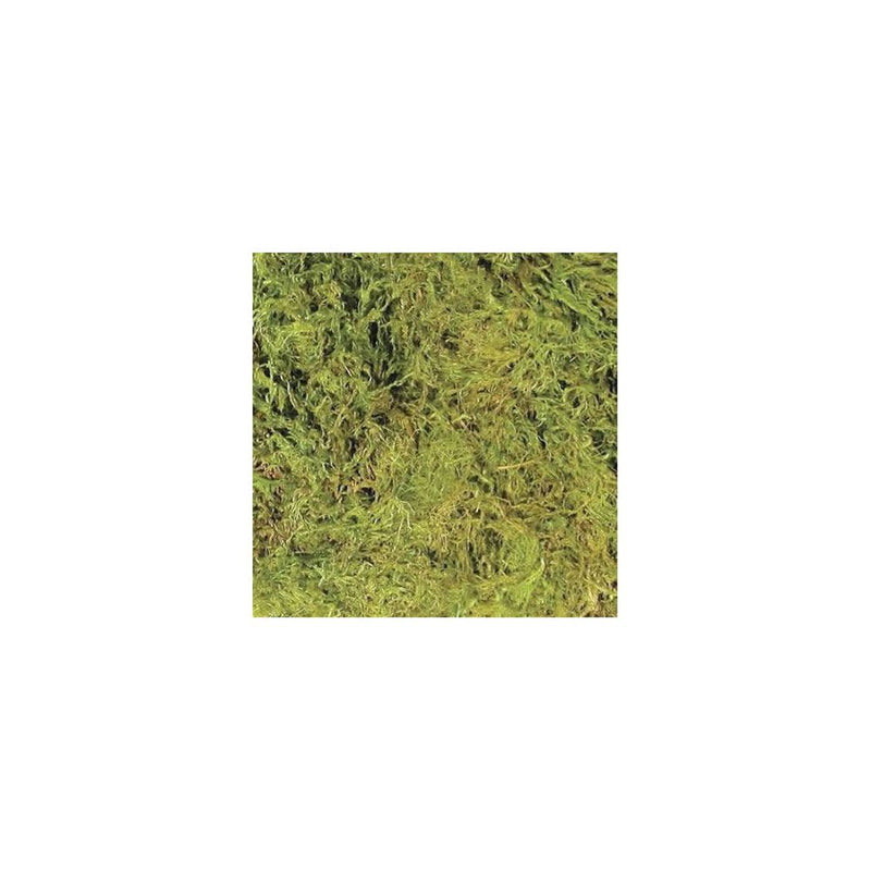 Zoo Med Terrarium Moss - Reptiles By Post