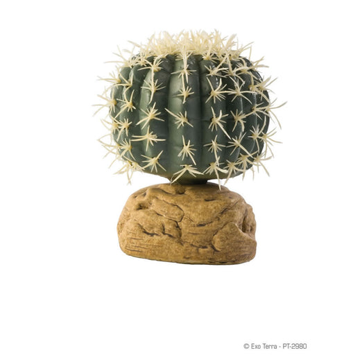 Exo Terra Barrel Cactus - Reptiles By Post