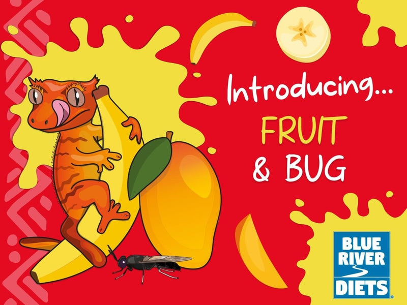 Blue River Diets - Fruit & Bug - Reptiles By Post