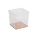 Braplast 5.8L Box + Solid Lid - Reptiles By Post