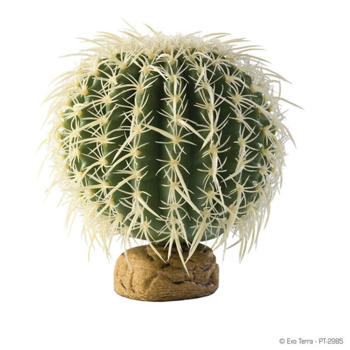 Exo Terra Barrel Cactus - Reptiles By Post