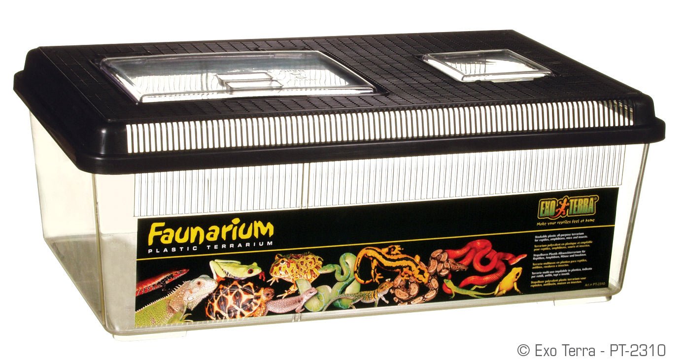Exo Terra Faunarium — Reptiles By Post
