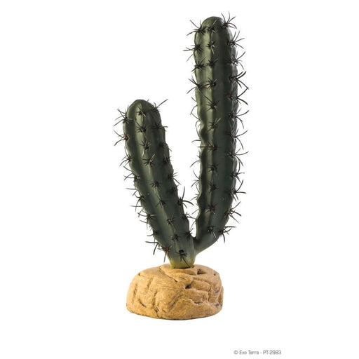 Exo Terra Finger Cactus - Reptiles By Post