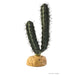Exo Terra Finger Cactus - Reptiles By Post