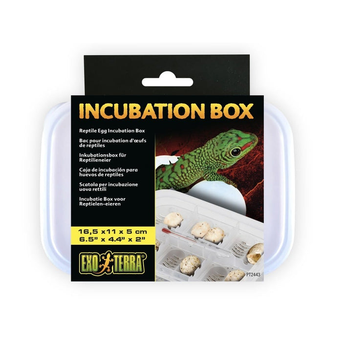 Exo Terra Incubator Box - Reptiles By Post