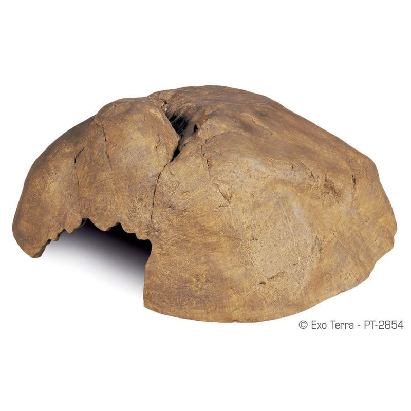 Exo Terra Reptile Cave - Reptiles By Post