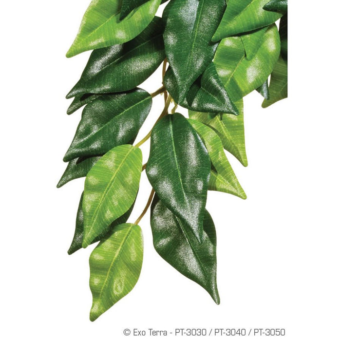 Exo Terra Silk Plant Ficus - Reptiles By Post