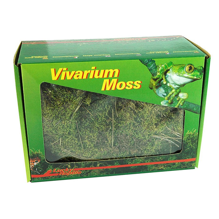 Lucky Reptile Dry Vivarium Moss 150g - Reptiles By Post