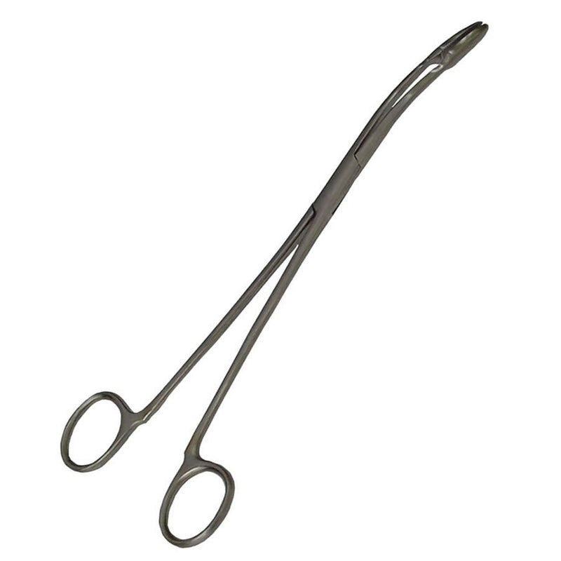 Lucky Reptile Feeding Tongs 25cm angular - Reptiles By Post