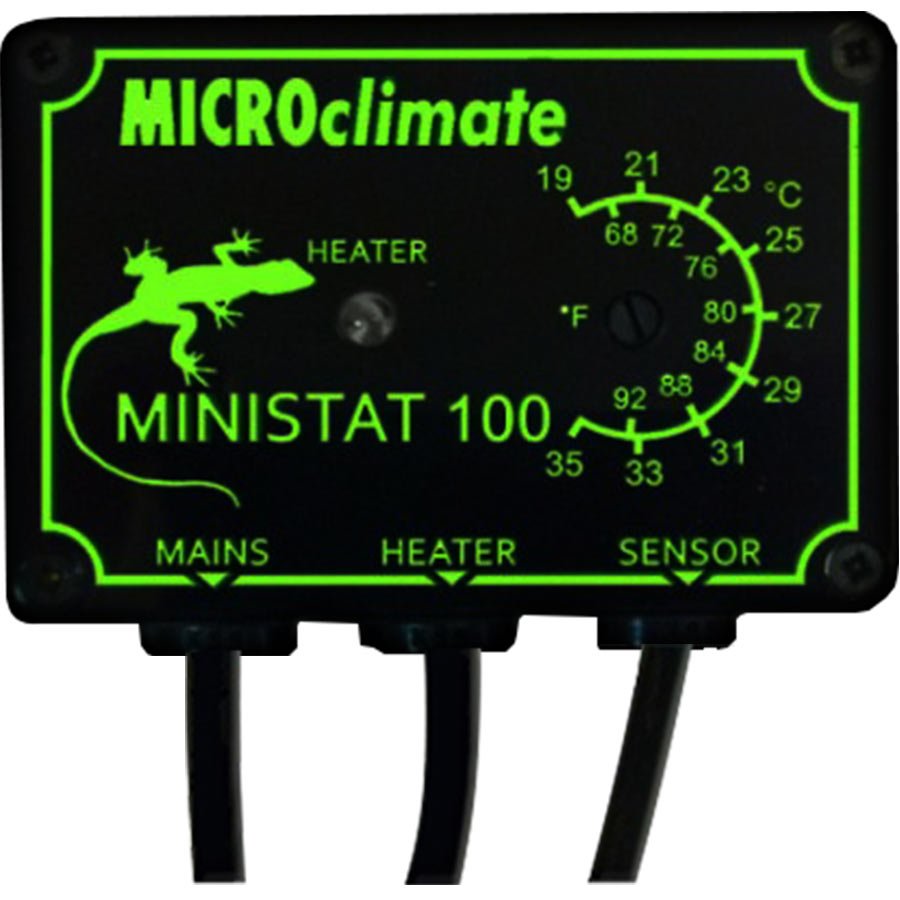 Small Thermostat - Microclimate Ministat 100 — Reptiles By Post
