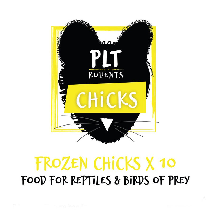 PLT Frozen Chicks 10 pack - Reptiles By Post