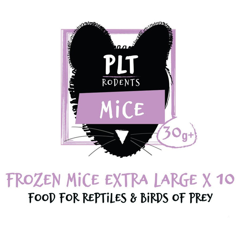 PLT Frozen Mice - Reptiles By Post