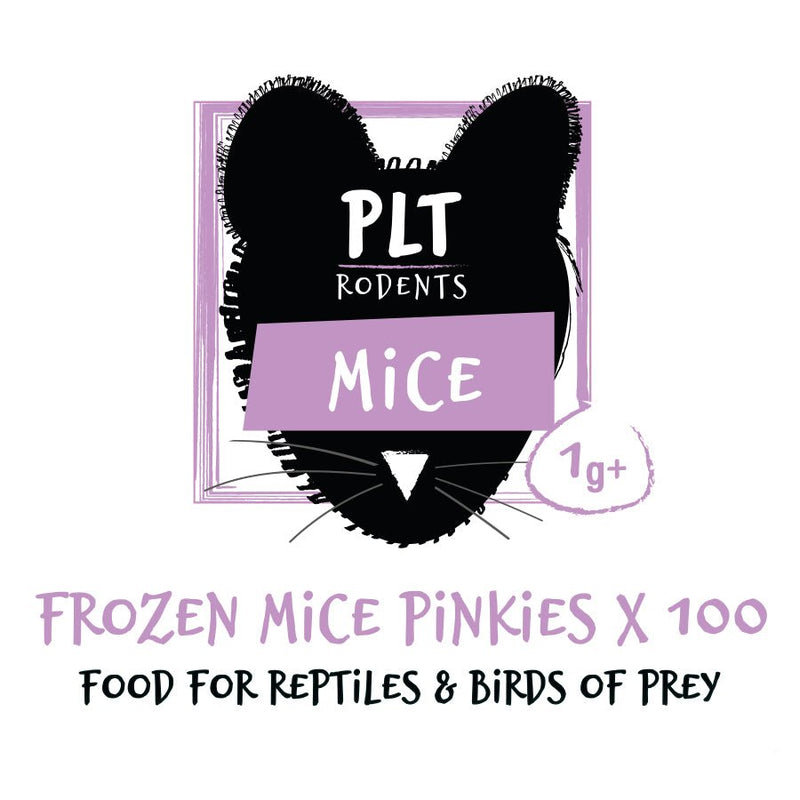 Frozan Mice Frozen Mice Multi-Packs — Reptiles By Post