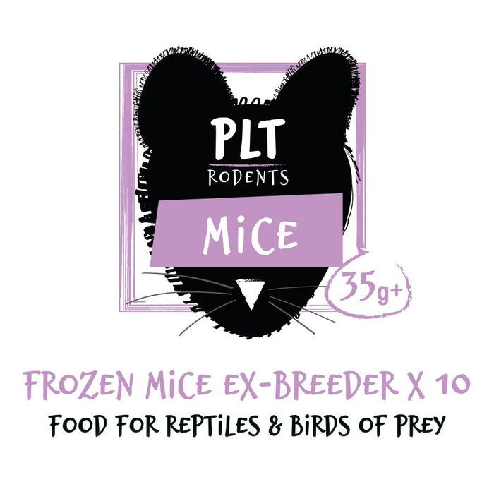 PLT Frozen Mice - Reptiles By Post