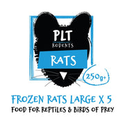 PLT Frozen Rats - Reptiles By Post
