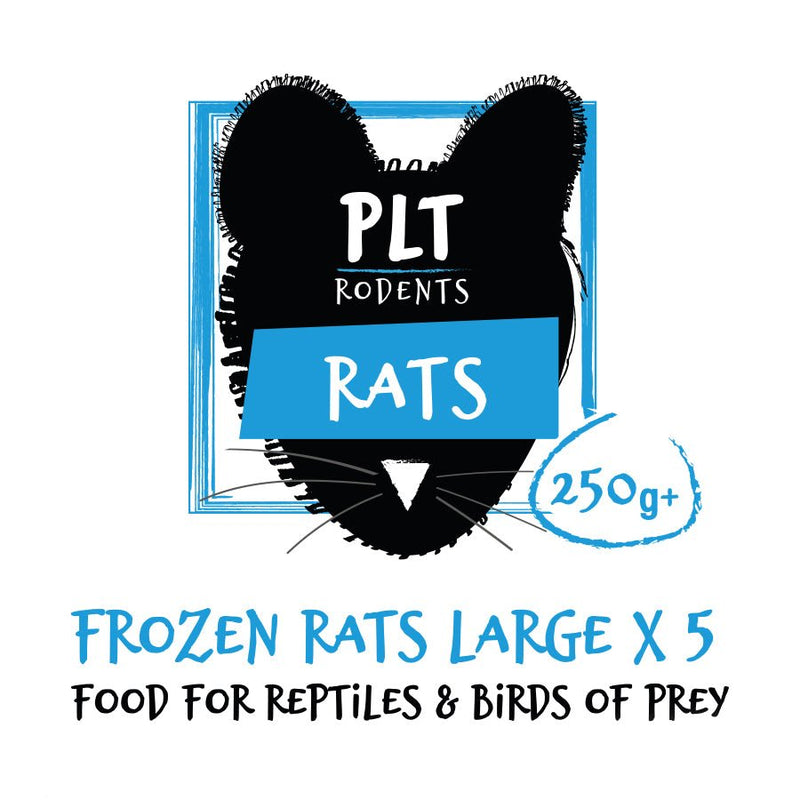 PLT Frozen Rats - Reptiles By Post