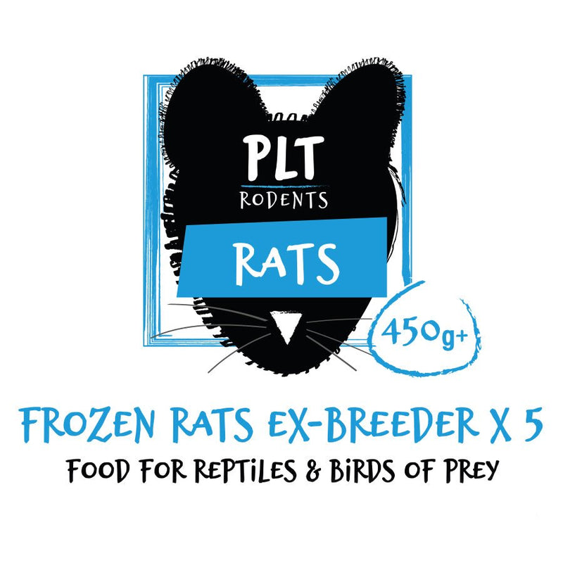 PLT Frozen Rats - Reptiles By Post