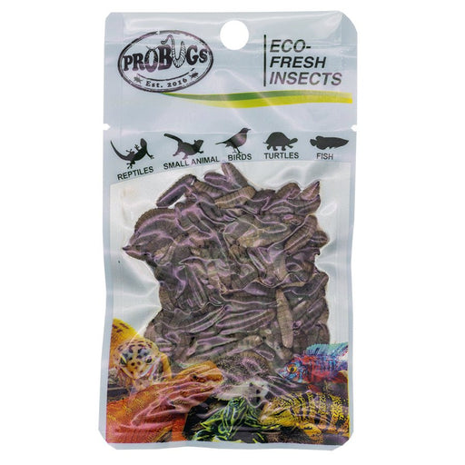 ProBugs Eco Fresh Bblack Soldier Fly Larvae 20g - Reptiles By Post