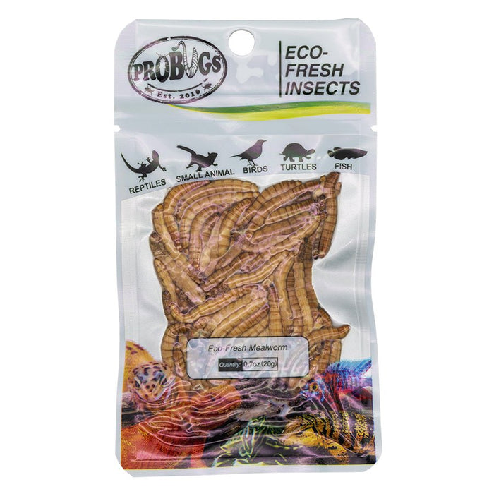 ProBugs Eco Fresh Mealworm, 20g - Reptiles By Post