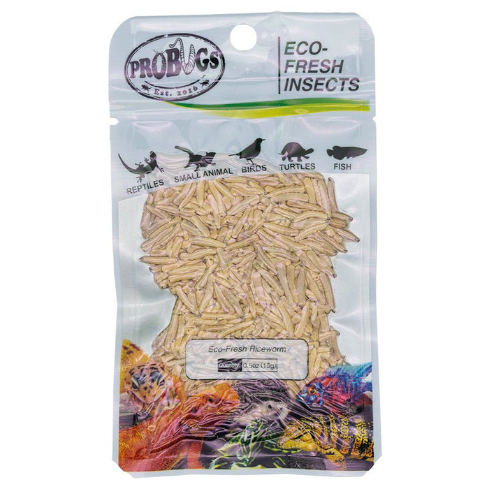 ProBugs Eco Fresh Riceworm, 15g - Reptiles By Post