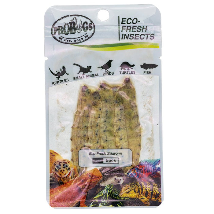 ProBugs Eco Fresh Silkworm, 5pcs - Reptiles By Post