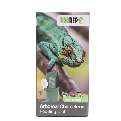 ProRep Arboreal Chameleon Feeding Dish - Reptiles By Post