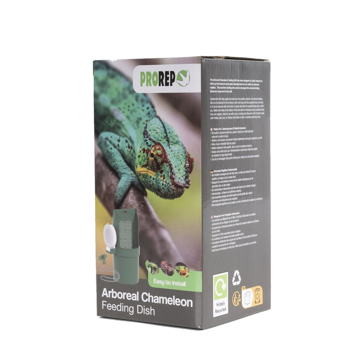 ProRep Arboreal Chameleon Feeding Dish — Reptiles By Post