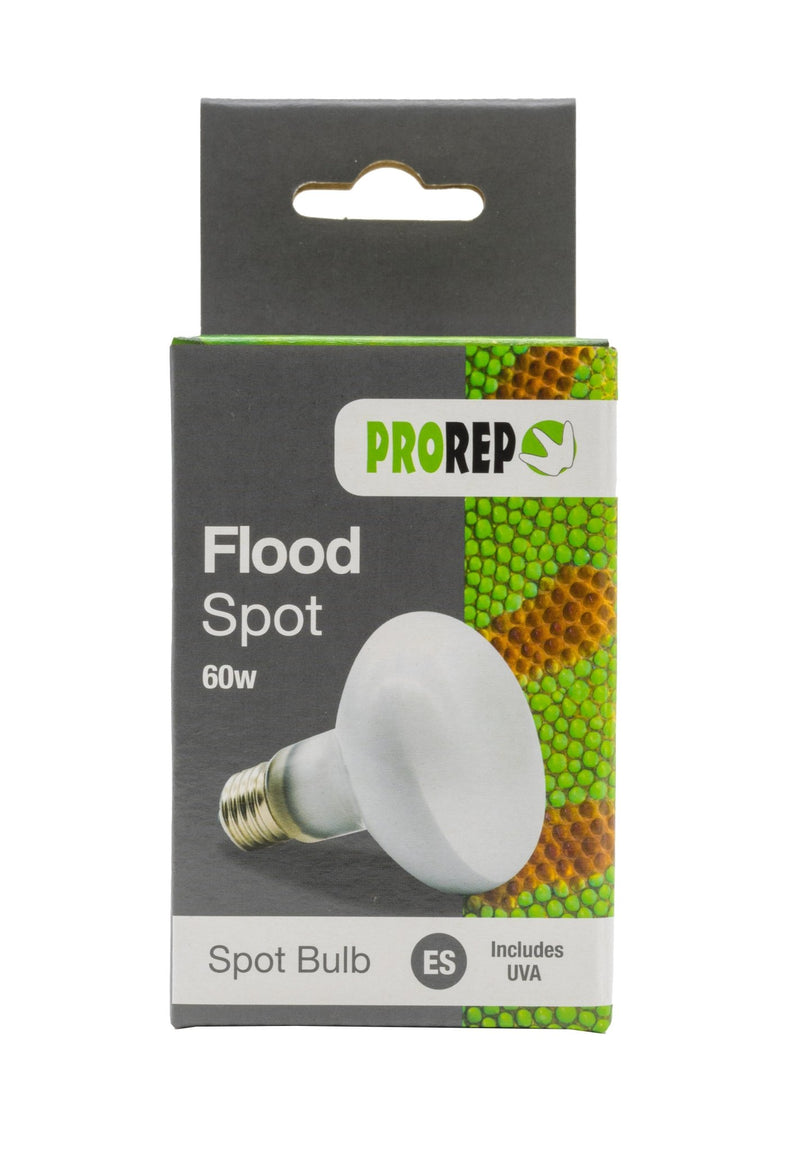 ProRep Flood Lamp - Reptiles By Post